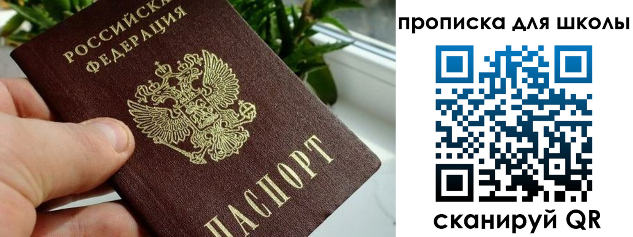 регистрация для дет. сада в Сольцах